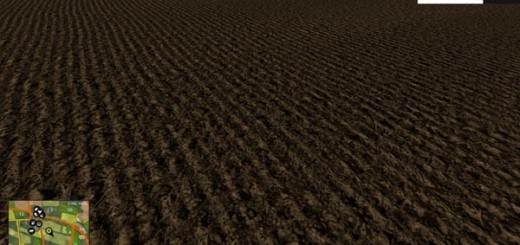 Ground textures hard wet