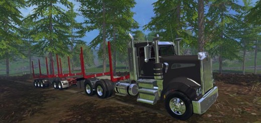 Holz Transport Pack