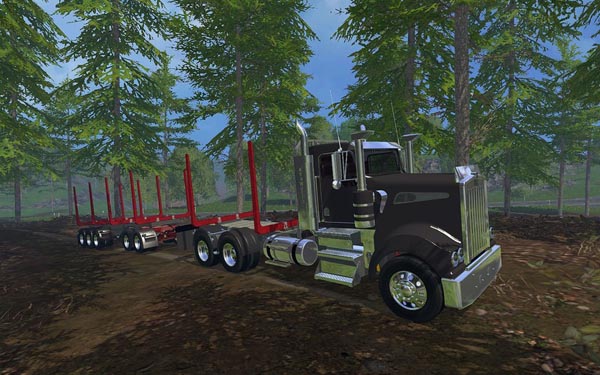 Holz Transport Pack