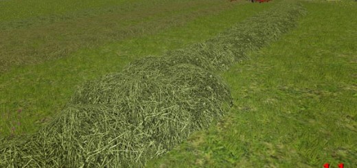 Grass Texture