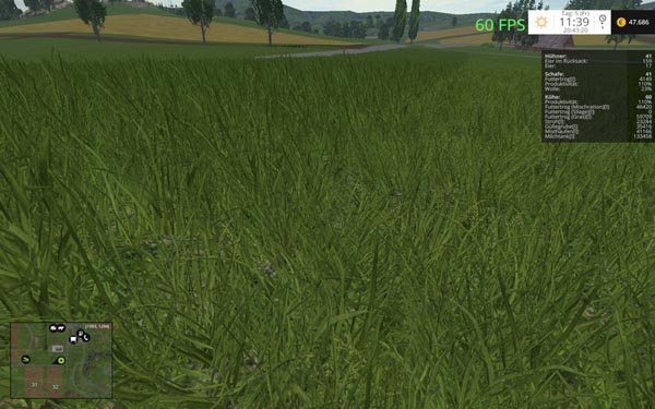 Grass texture