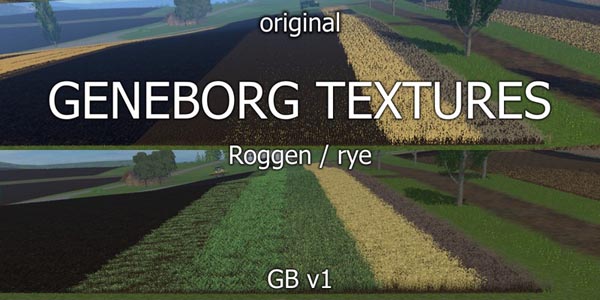 Texture rye