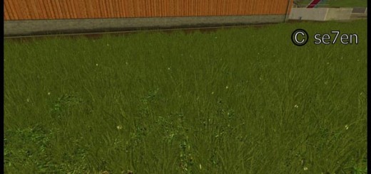 Grass texture